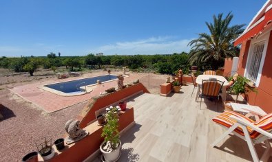 Country Property/Finca - Bestaande bouw - San Miguel de Salinas -
                San Miguel de Salinas