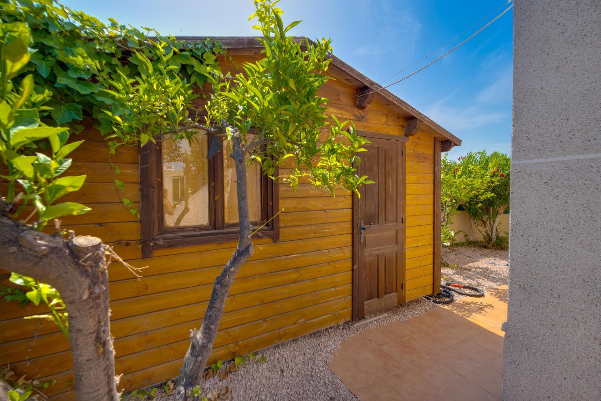 Detached villa with private pool in San Fulgencio