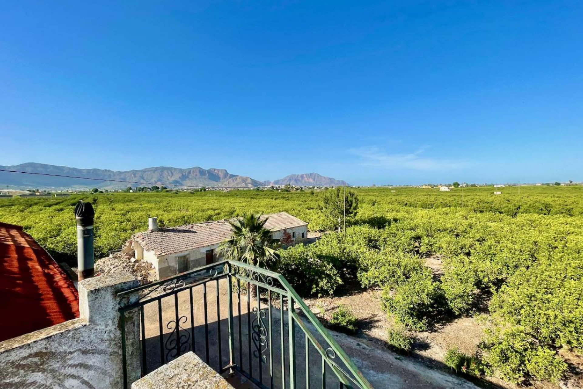 Encantadora finca rural de 3 dormitorios con vistas panorámicas cerca de Orihuela