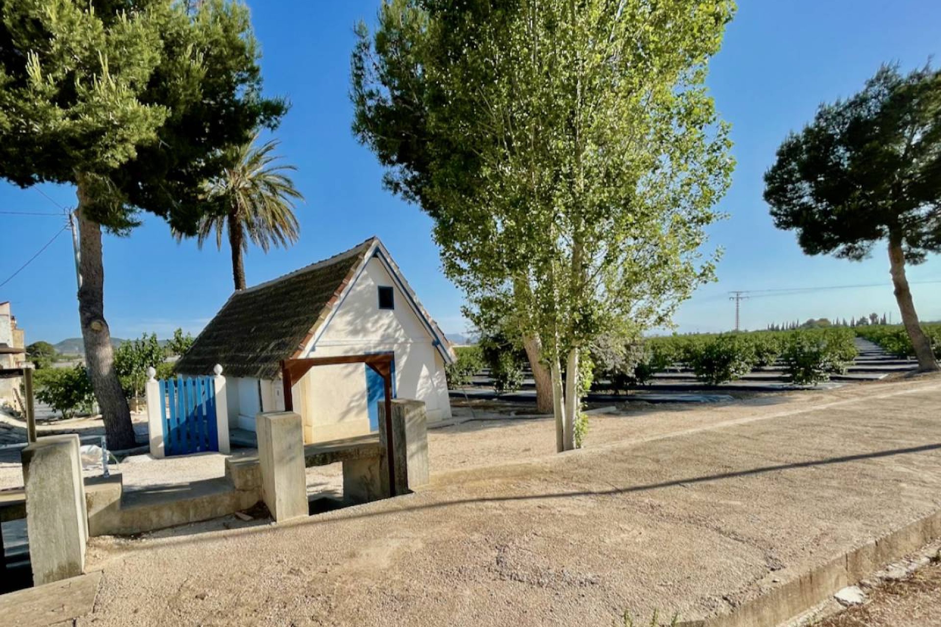 Encantadora finca rural de 3 dormitorios con vistas panorámicas cerca de Orihuela