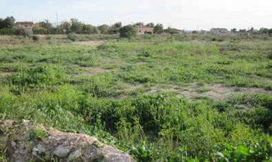 Estate - Reventa - Elche -
                Valverde
