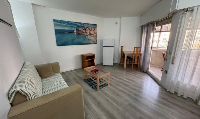 Estudio - Reventa - Torrevieja -
                Playa de Los Locos-Curva del Palangre