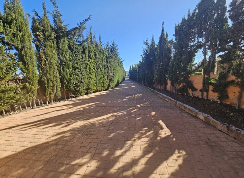 Exclusieve villa met 5 slaapkamers en privézwembad in La Manga Club, Spanje