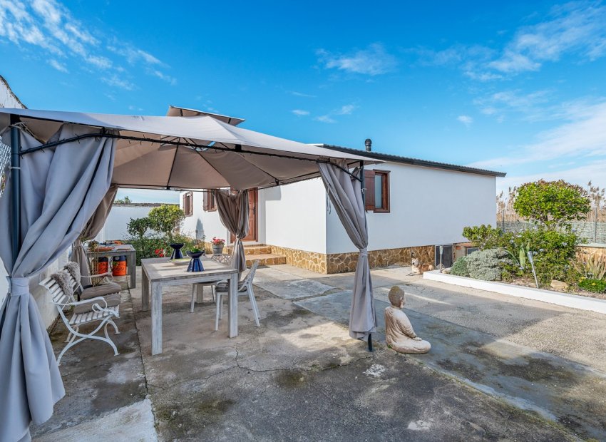 Finca - Bestaande bouw -
            Elche - CW-50614