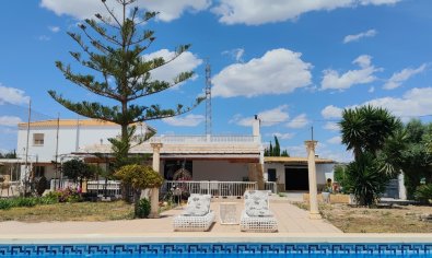 Finca - Bestaande bouw - Los Montesinos -
                Los Montesinos