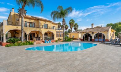 Finca - Bestaande bouw - Orihuela -
                Orihuela