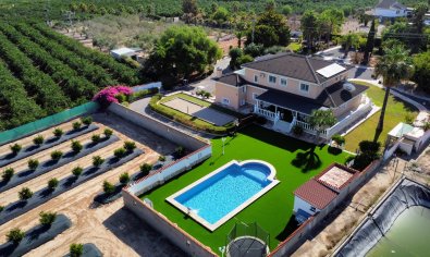 Finca - Bestaande bouw - San Miguel de Salinas -
                San Miguel de Salinas