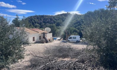 Finca - Bestaande bouw - Torremendo -
                Torremendo