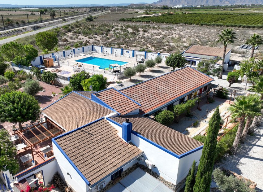Finca de lujo con 6 dormitorios, casa de invitados y piscina privada en Crevillente