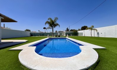 Finca - Resale - Alcantarilla -
                Alcantarilla