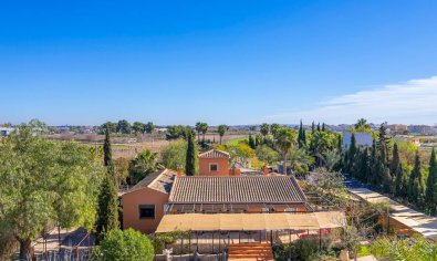 Finca - Resale - Catral -
                Catral