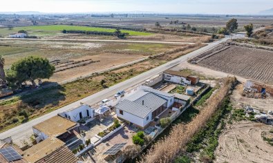 Finca - Resale - Elche -
                Daimés