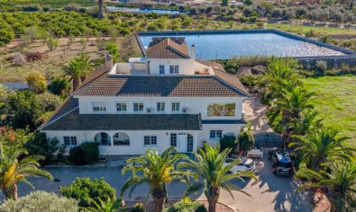 Finca - Resale - Los Montesinos -
                Los Montesinos