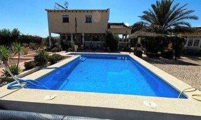 Finca - Resale - Orihuela -
                Orihuela