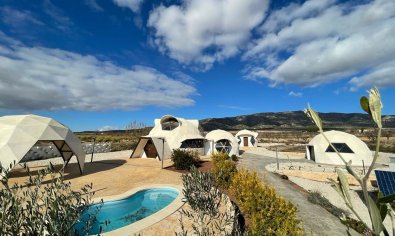 Finca - Resale - Pinoso -
                Pinoso