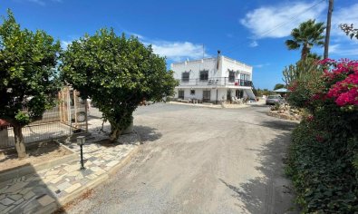 Finca - Resale - San Fulgencio -
                La Marina