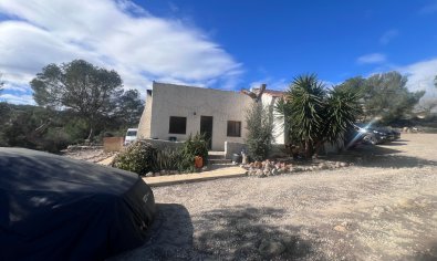 Finca - Resale - Torremendo -
                Torremendo