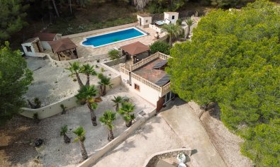 Finca - Resale - Torremendo -
                Torremendo