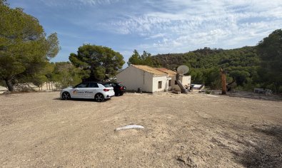 Finca - Resale - Torremendo -
                Torremendo