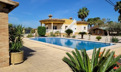 Finca - Reventa - Catral - Catral