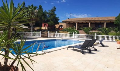 Finca - Reventa - El Esparragal - El Esparragal