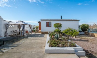 Finca - Reventa - Elche - Daimés