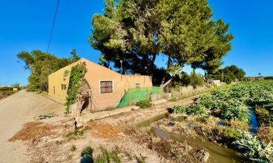 Finca - Reventa - Guardamar del Segura -
                Guardamar del Segura