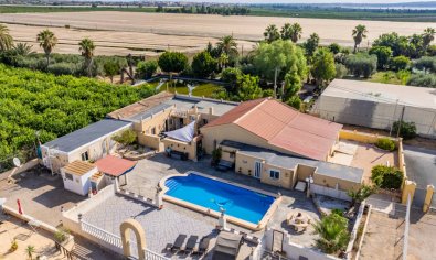 Finca - Reventa - Los Montesinos -
                Los Montesinos