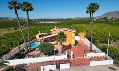 Finca - Reventa - Orihuela -
                Orihuela