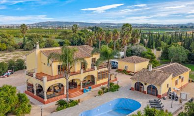Finca - Reventa - Orihuela -
                Orihuela