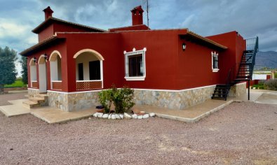Finca - Reventa - Orihuela - Orihuela