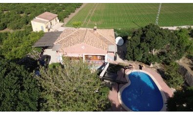 Finca - Reventa - Orihuela -
                San Bartolome