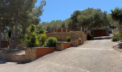 Finca - Reventa - Orihuela -
                Torremendo