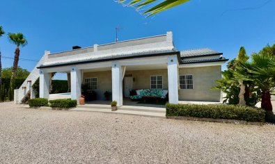 Finca - Reventa - Torrellano -
                Torrellano