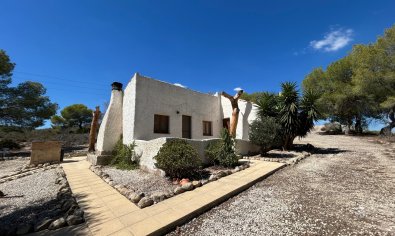 Finca - Reventa - Torremendo -
                Torremendo