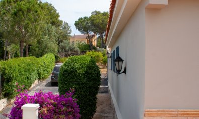 Finca - Reventa - Valencia -
                Valencia