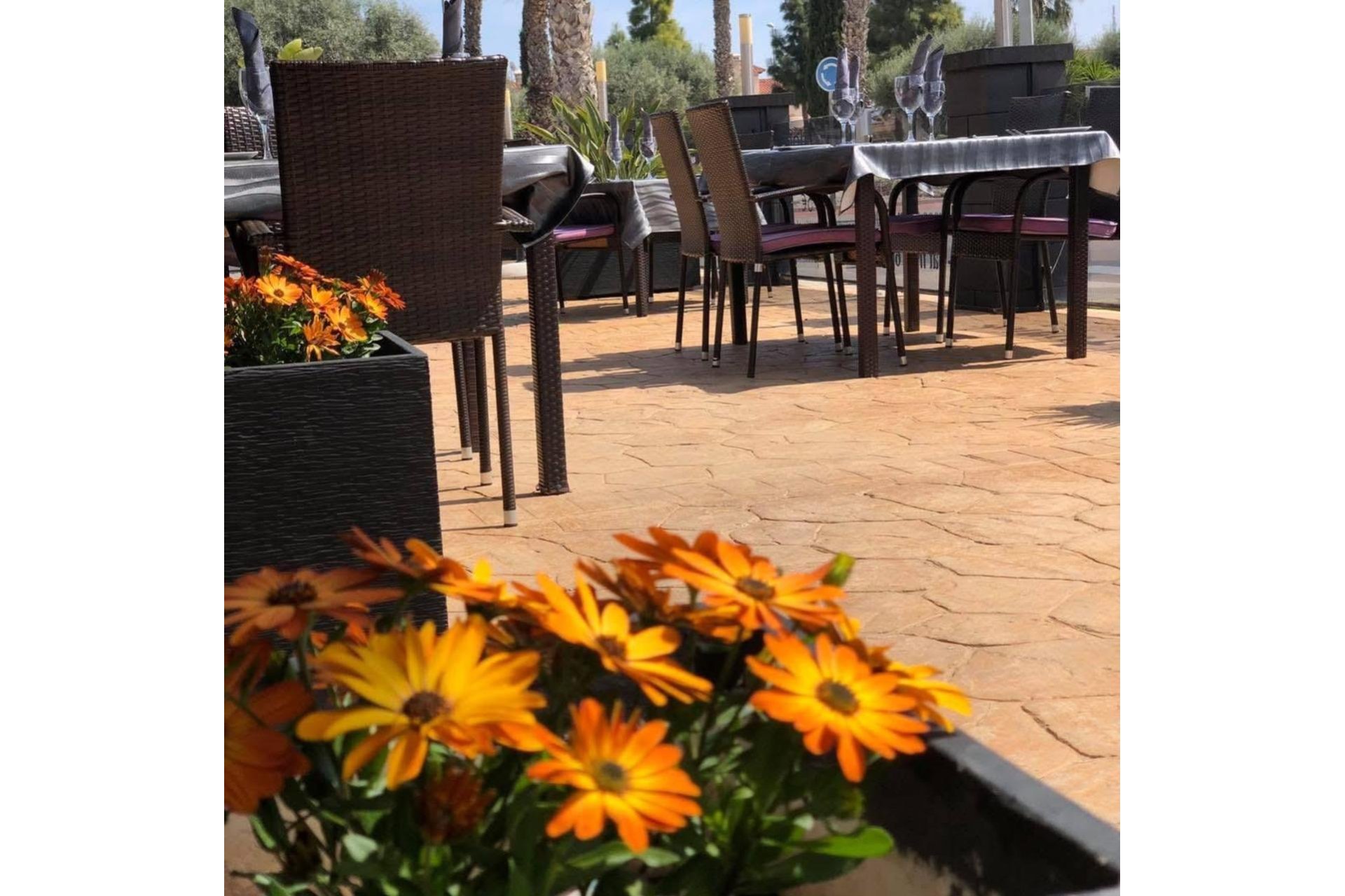 For Sale: Successful restaurant in El Raso, Guardamar – 320 m², fully furnished