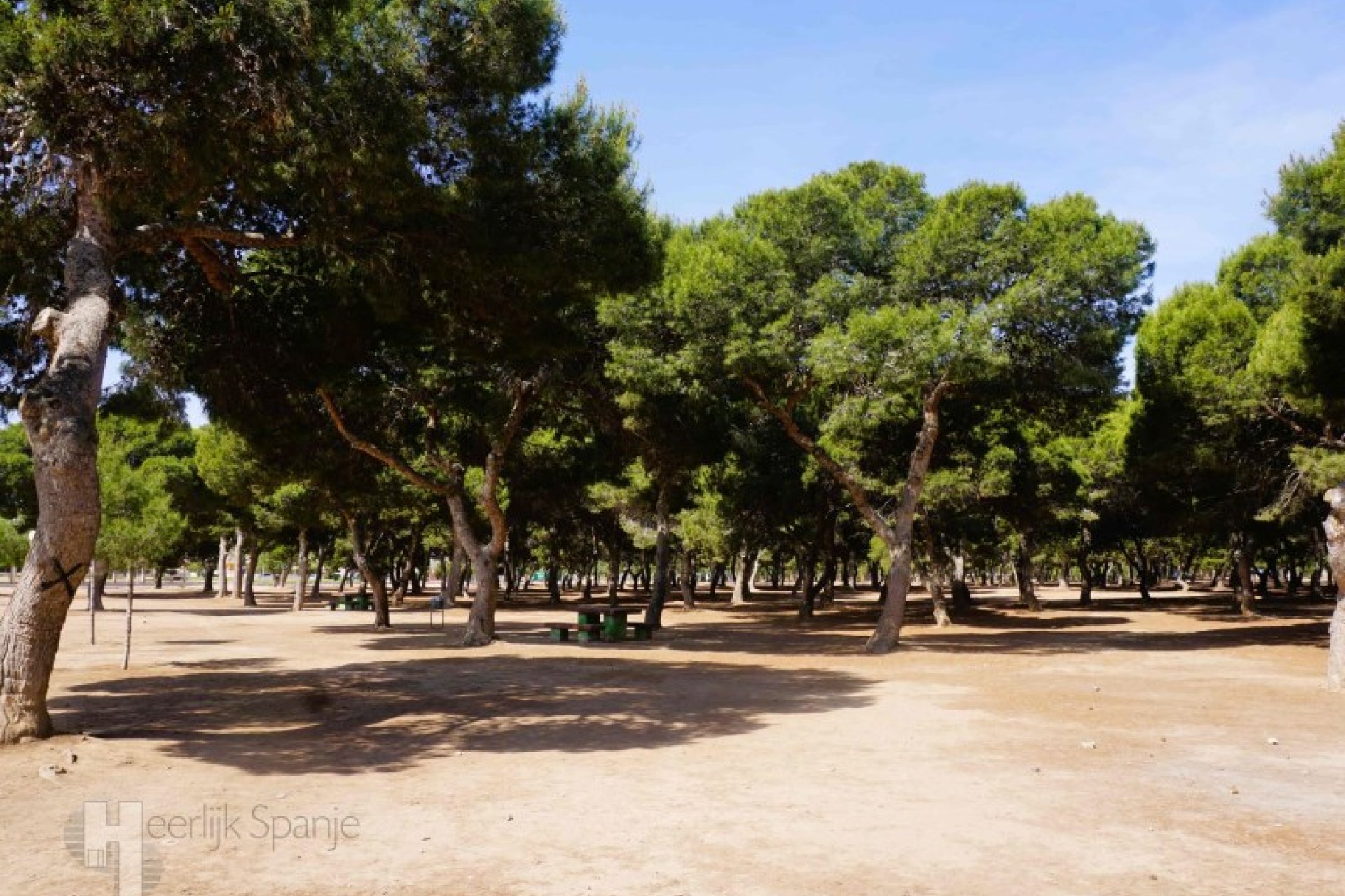 Gelijkvloers appartement nabij strand in Santiago de la Ribera, volledig gemeubileerd