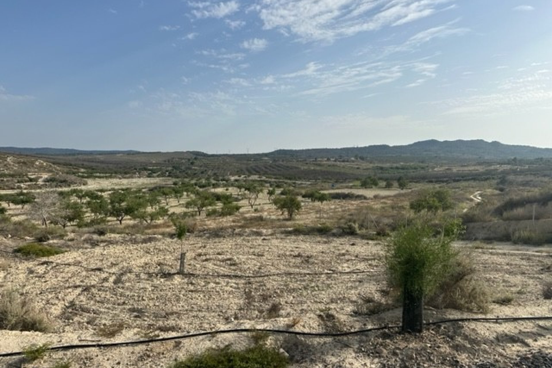 Groot rustiek perceel te koop in Torremendo Costa Blanca