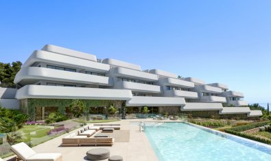 ground-floor - New Build - Casares -
                Casares