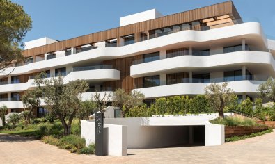 ground-floor - Nieuwbouw Woningen - Pueblo Nuevo -
                Pueblo Nuevo