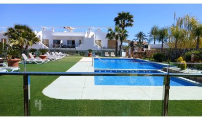 Ground floor - Reventa - Pilar de la Horadada -
                Pilar de la Horadada ciudad