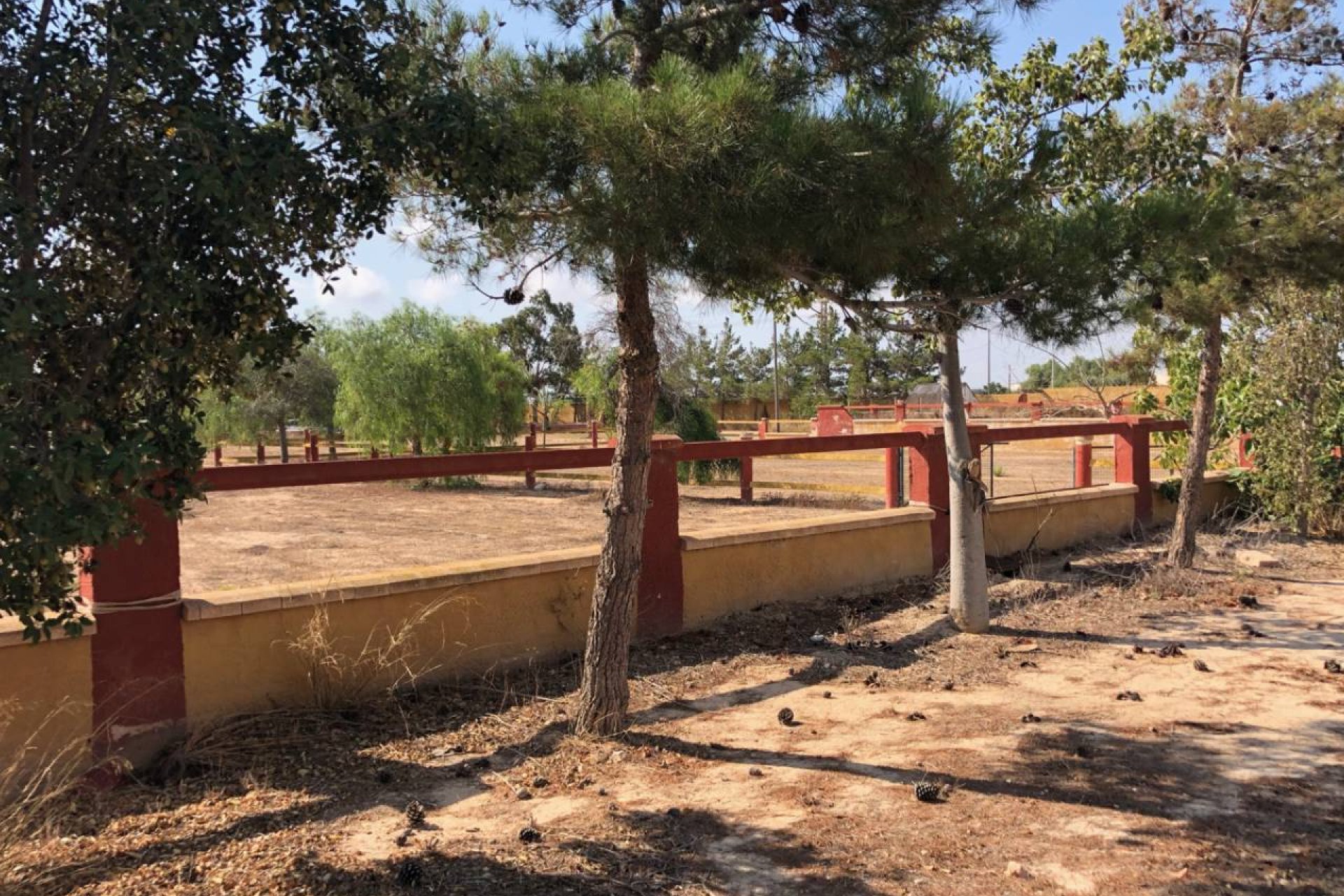 ﻿Exclusive 4-bedroom finca with a private pool and large garden in Los Montesinos