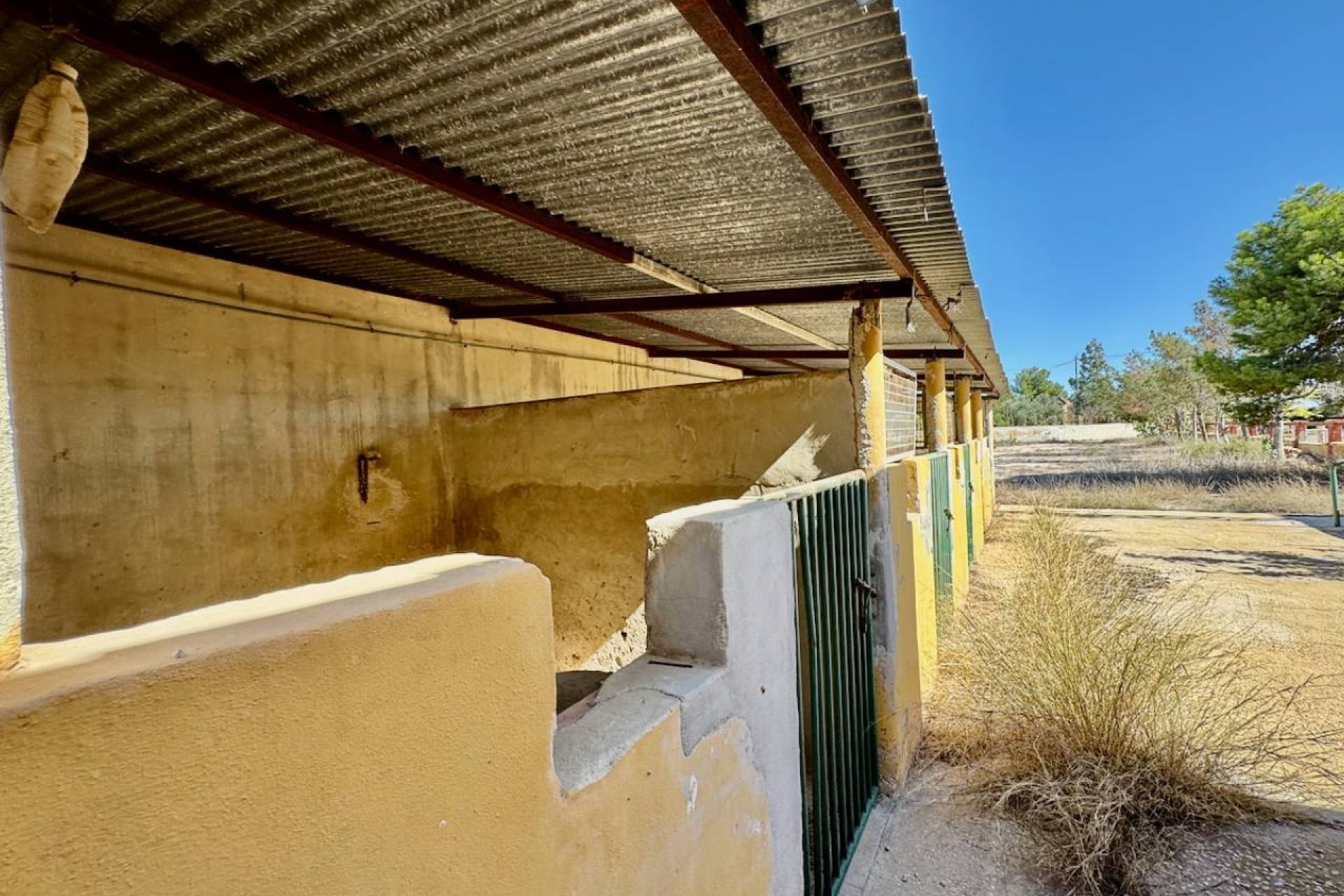 ﻿Exclusive 4-bedroom finca with a private pool and large garden in Los Montesinos