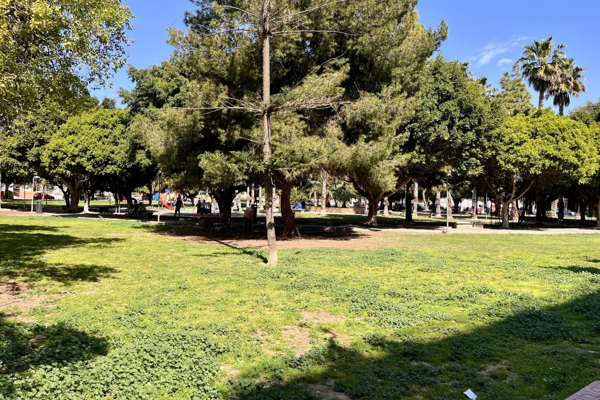 ﻿Modern 3-bedroom apartment with ocean views in a prime location in Torrevieja