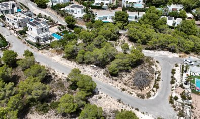Land - Resale - Dehesa De Campoamor -
                Las Colinas Golf Resort