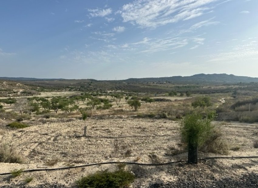 Large rustic plot for sale in Torremendo, Costa Blanca