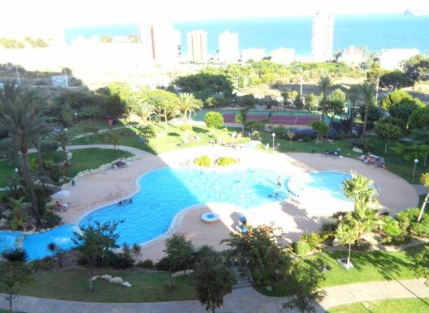 Luxe appartement met zeezicht en zwembad in Benidorm 