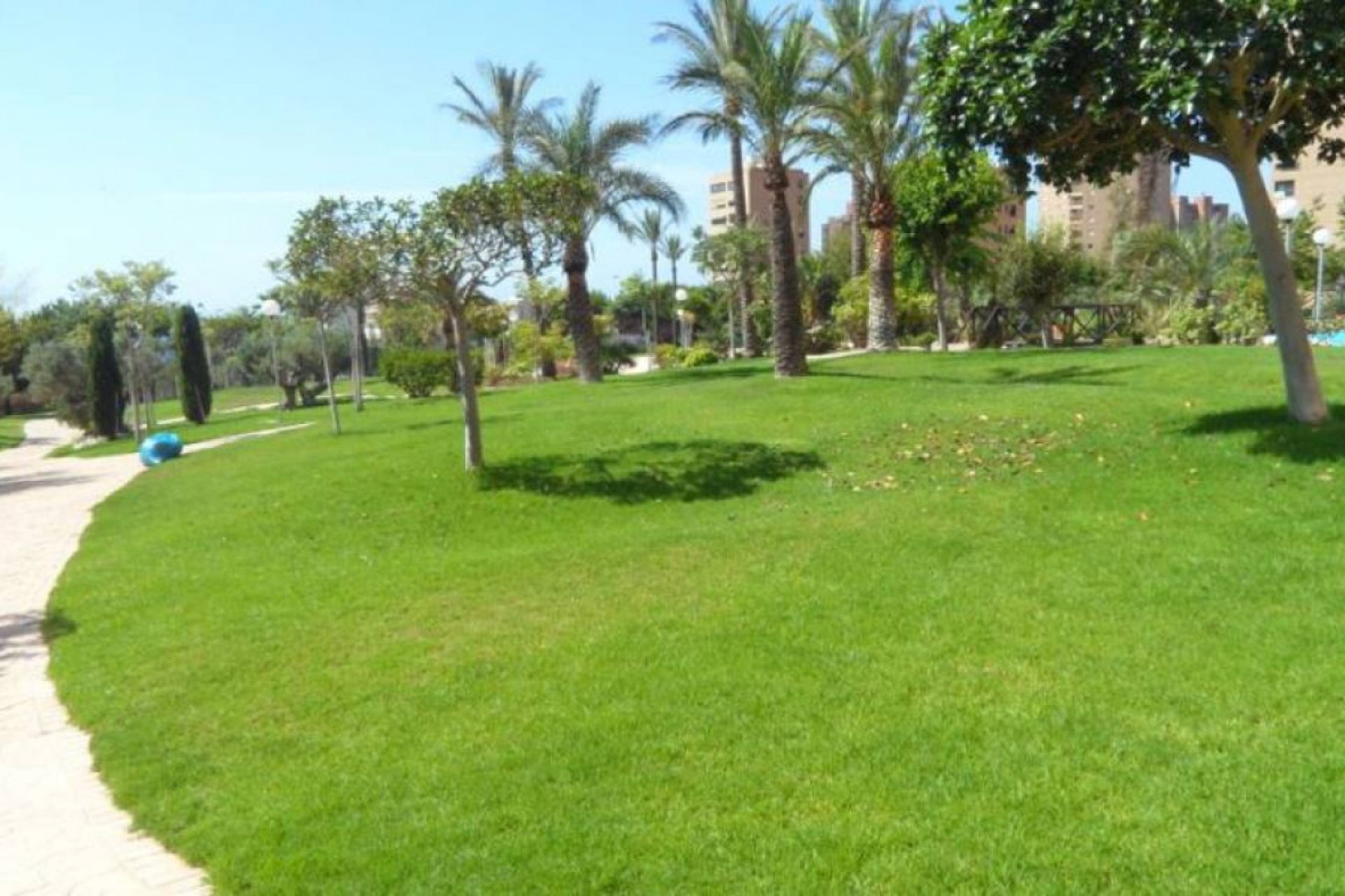 Luxe appartement met zeezicht en zwembad in Benidorm 