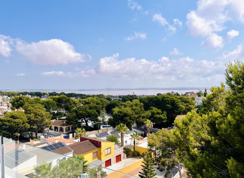 Luxe villa met zeezicht en privézwembad in Torrevieja